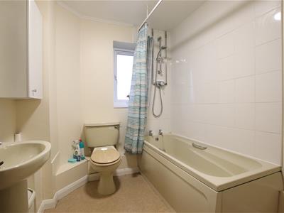 Picture 5